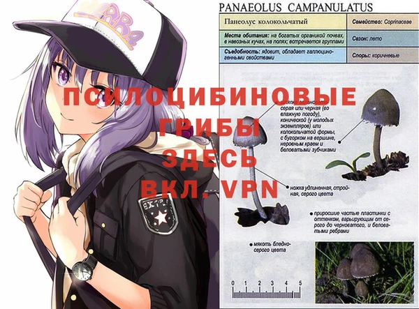 ешки Зеленокумск
