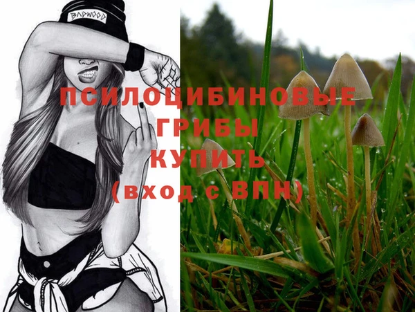 ECSTASY Зерноград