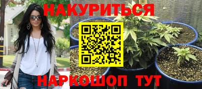 мяу мяу кристалл Малоярославец