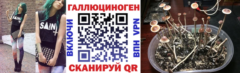Псилоцибиновые грибы мухоморы  закладка  Курган 
