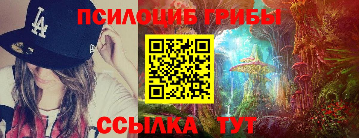 Псилоцибиновые грибы Cubensis  Вход с VPN  Курган 