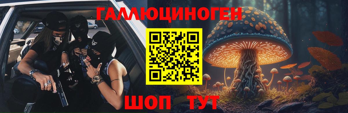 Псилоцибиновые грибы Psilocybine cubensis Курган