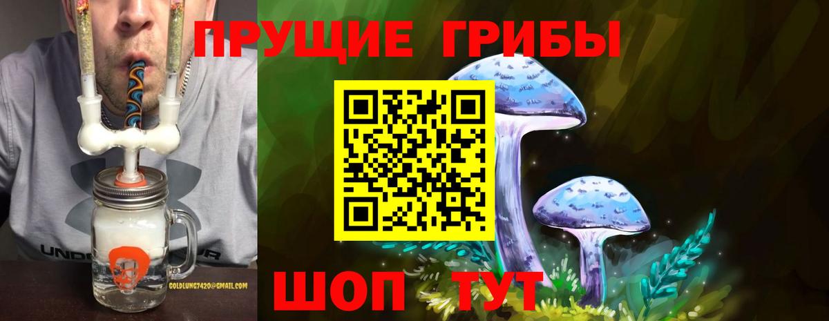 Псилоцибиновые грибы GOLDEN TEACHER Курган