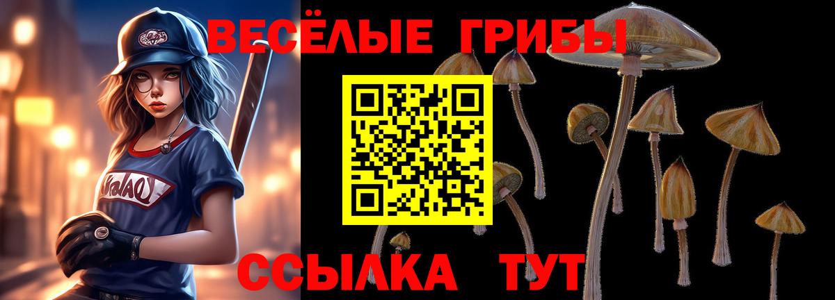 Галлюциногенные грибы прущие грибы  Курган  Галлюциногенные грибы мухоморы 